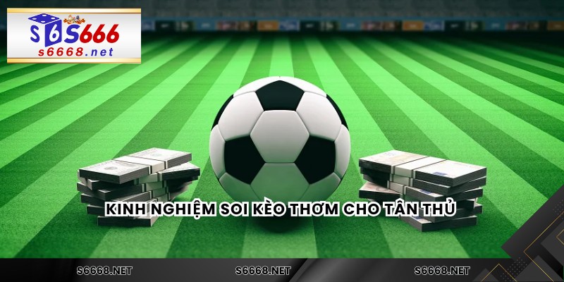 Kinh nghiệm soi kèo thơm cho tân thủ 